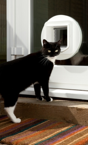 Flo control 2024 cat door